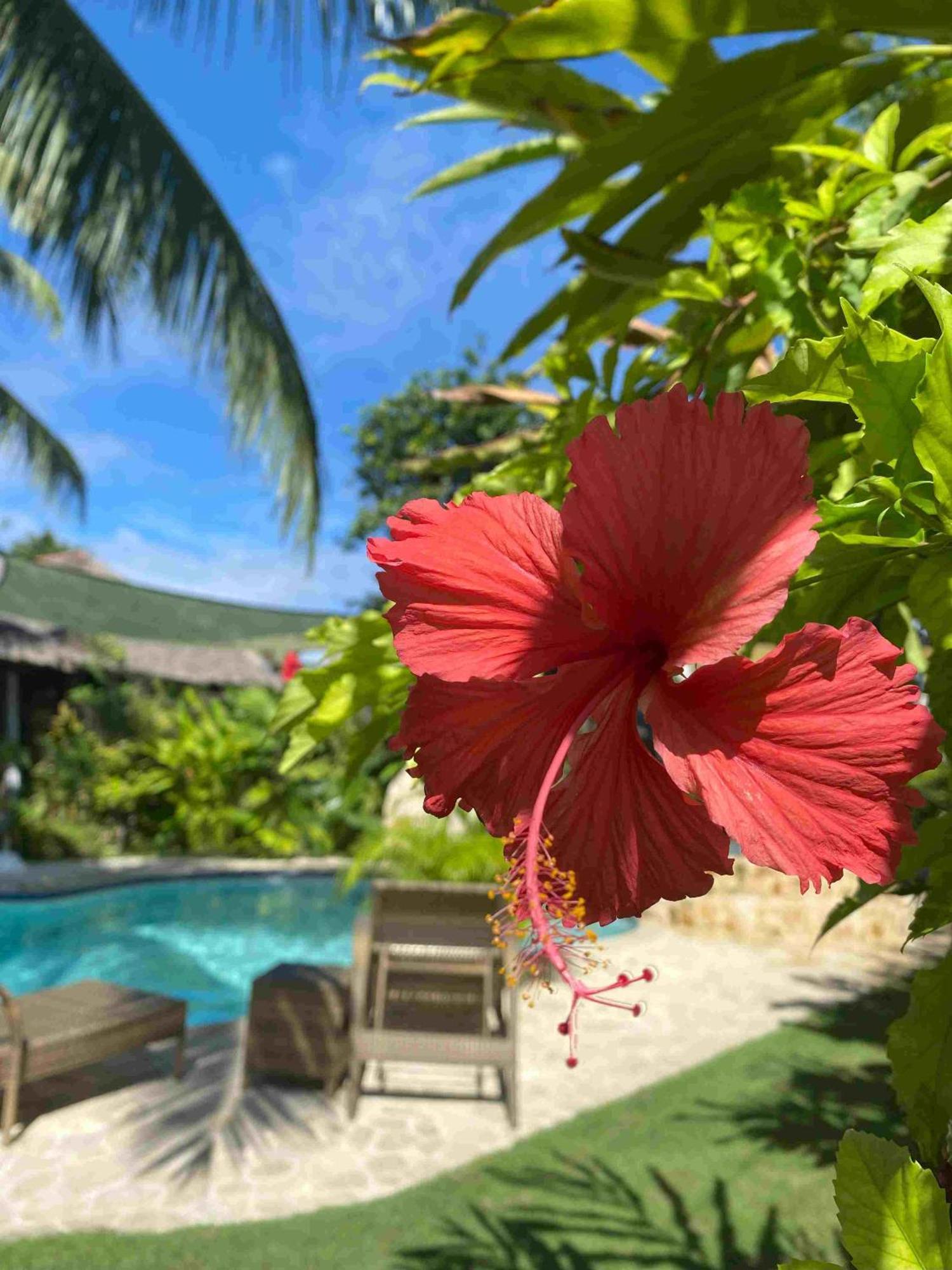Romantic Beach Villas General Luna  Ngoại thất bức ảnh